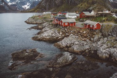 Norveç evleri ve dağları fiyort üzerindeki kayalar İskandinav seyahat manzarası Lofoten adaları