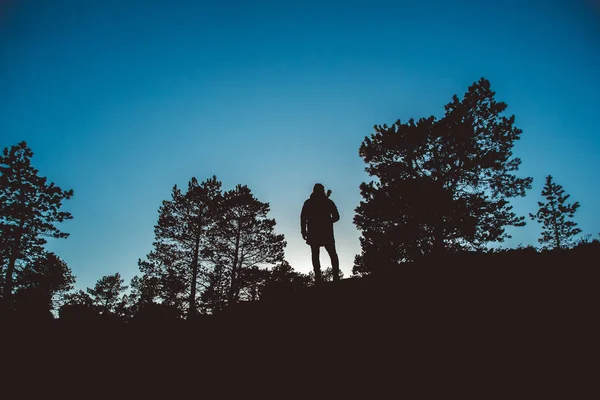 Silhueta de um viajante no meio de uma floresta com uma mochila e uma guitarra contra um fundo azul céu Imagens De Bancos De Imagens