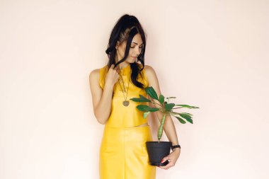 Güzel kız pembe arka planda saksıda çiçek tutuyor. Kadın saksıda çiçek tutuyor. Çekici, neşeli, saksıdaki çiçekli kız.