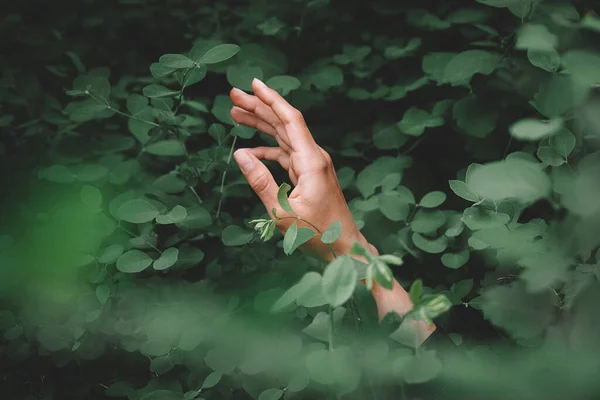 Woman hand against green leaf background. Back to nature, love earth, copy space — Stock Photo, Image