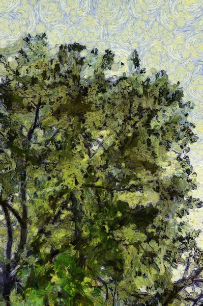 Bäume Und Äste Illustrationen Schafft Einen Impressionistischen Malstil — Stockfoto