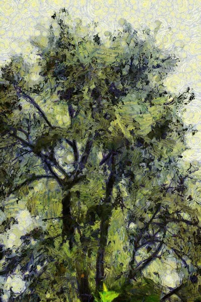 Träd Och Grenar Illustrationer Skapar Impressionistisk Stil Måleri — Stockfoto