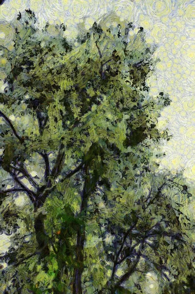 Bäume Und Äste Illustrationen Schafft Einen Impressionistischen Malstil — Stockfoto