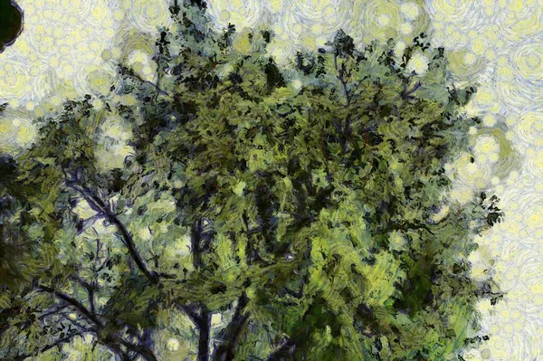 Trees and branches Illustrations creates an impressionist style of painting.