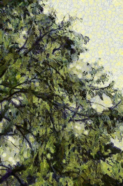 Δέντρα Και Κλαδιά Εικονογράφηση Δημιουργεί Ένα Ιμπρεσιονιστικό Ύφος Της Ζωγραφικής — Φωτογραφία Αρχείου