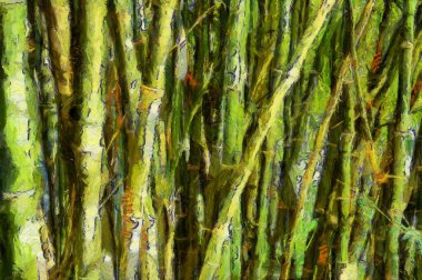 Bambu ağacı çizimleri empresyonist bir resim tarzı yaratır.