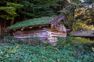 Partnachklamm, Partnach Vadisi Garmisch-Partenkirchen, Bavyera, Almanya