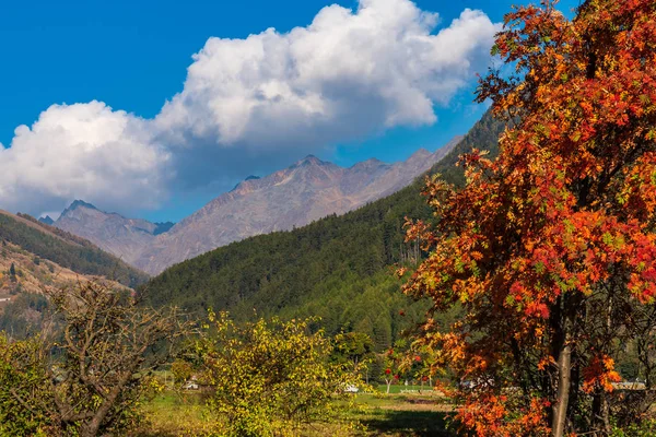 Vue d'automne à Burgusio, Trentin-Haut-Adige, Italie — Photo