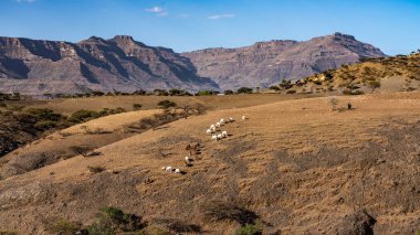 Lalibela, Etiyopya, Afrika dağlarında manzara