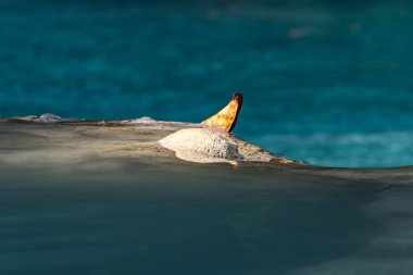 Asya basamaklı şelale tat Kuang Si Falls yakınındaki Luang Prabang, Laos - egzotik Traverten turkuaz mavi.