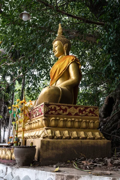 Templo Wat Aham Monasterio Del Corazón Abierto Luang Prabang Laos — Foto de Stock
