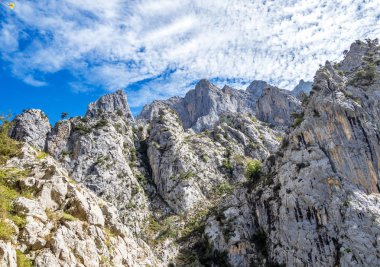 Bakımları trail garganta del Bakımı, Picos de Europa dağlar, İspanya