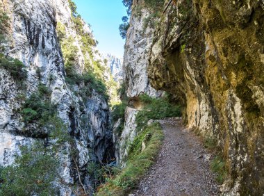 Bakımları trail garganta del Bakımı, Picos de Europa dağlar, İspanya