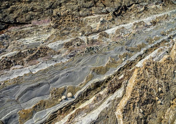 Flyšové pobřeží z Sakoneta, Zumaia -, Španělsko — Stock fotografie