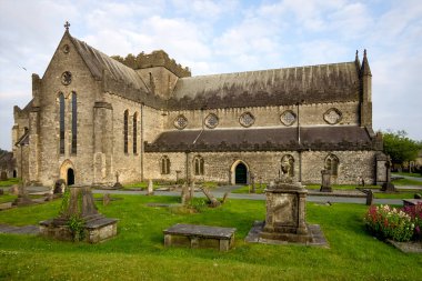 Kilkenny İrlanda St Canices Katedrali