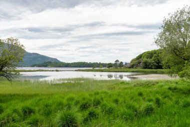 Muckross evde Ulusal Killarney Park, İrlanda