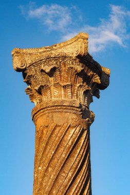 Meknes ve Fez, Fas Volubilis Roma Bazilikası kalıntıları