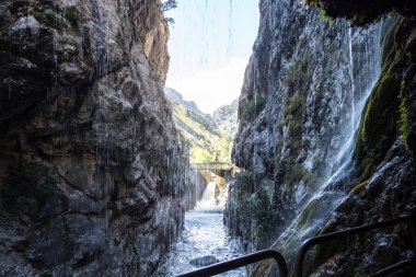 Bakımları trail garganta del Bakımı, Picos de Europa dağlar, İspanya