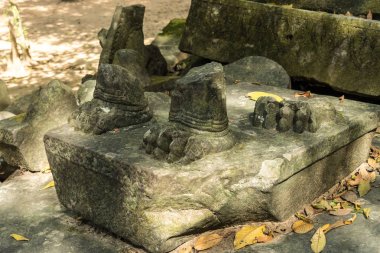 Orman, Kamboçya üzerinden eski Beng Mealea Tapınağı kalıntıları.