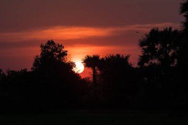 Tropikal kırsal bölgesinde günbatımı, Siem Reap, Kamboçya