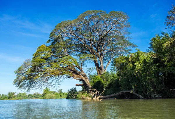 4000 Zona de islas en Nakasong sobre el río Mekong en Laos — Foto de Stock
