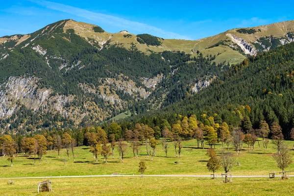 Javory v Ahornboden, Karwendel hory, Tyrolsko, Rakousko — Stock fotografie