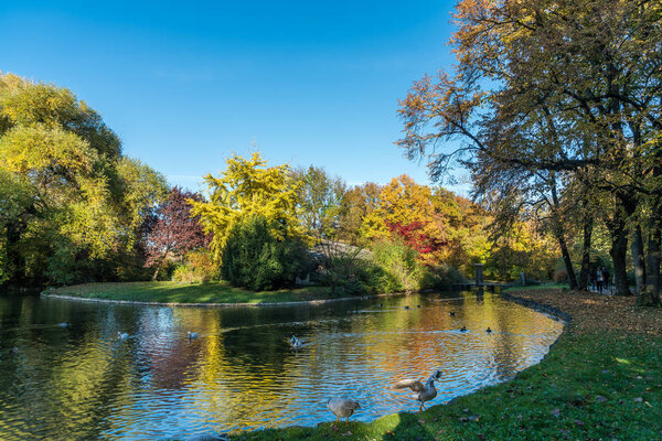 autumn view in The English Garden, Munich, Germany.
