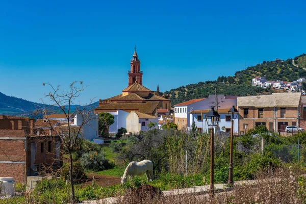 历史名城阿尔戈多纳莱斯，加迪斯，安达卢西亚，西班牙 — 图库照片