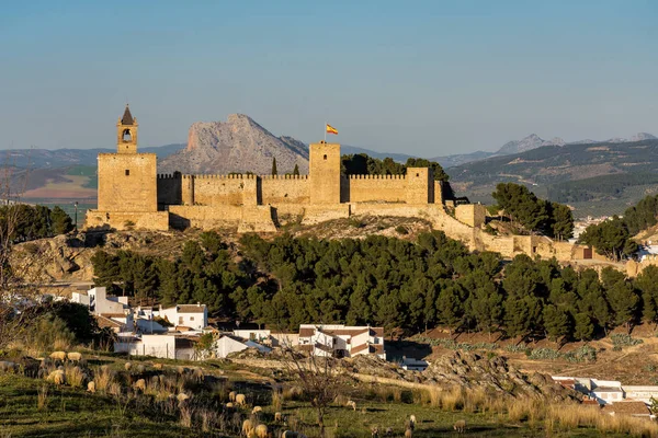 Alcazaba Castillo de Antequera en la provinciaMálaga. Andalucía, España — Foto de Stock