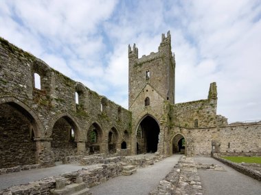 Jerpoint Abbey yakınındaki Thomastown, County Kilkenny, Ireland.
