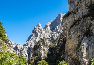 Bakımları trail garganta del Bakımı, Picos de Europa dağlar, İspanya
