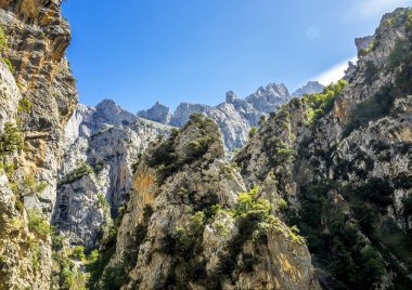 Bakımları trail garganta del Bakımı, Picos de Europa dağlar, İspanya