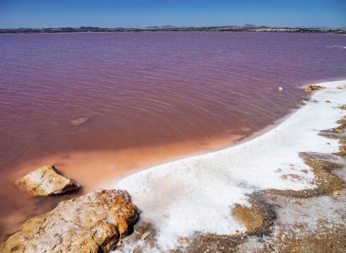 Torrevieja, İspanya'daki Laguna Salada. Pembe Tuzlu göl. Salinas Tabiat Parkı.