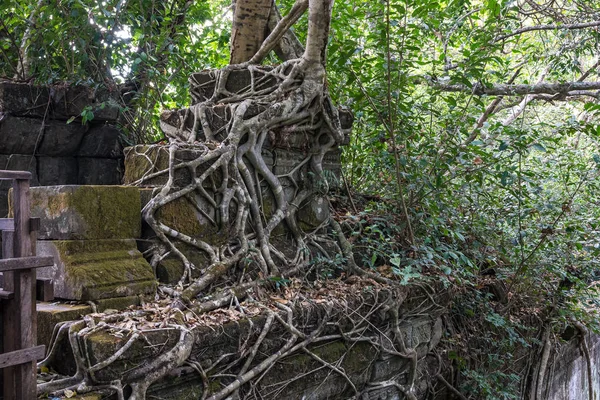 Ruiny starověkého chrámu Beng Mealea přes džungli, Kambodža. — Stock fotografie