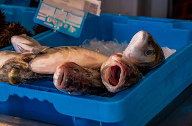 İspanya Xabia Javea balık pazarında Akdeniz deniz balığı