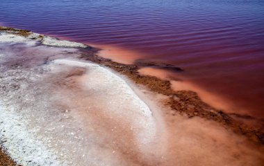 Torrevieja, İspanya'daki Laguna Salada. Pembe Tuzlu göl. Salinas Tabiat Parkı.