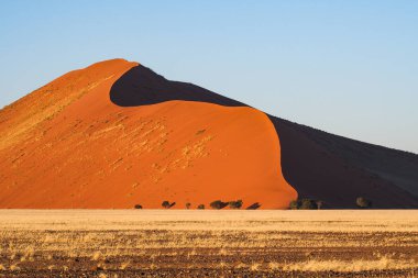 Namibya'daki Sossusvlei'nin tavasındaki kum tepeleri. Afrika.