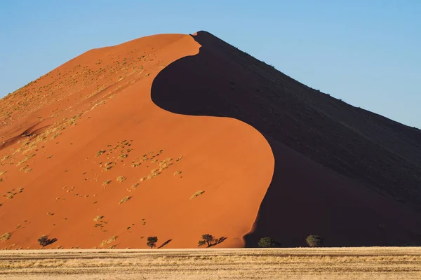 Sanddyner i en kastrull med Sossusvlei i Namibia. Afrika. — Stockfoto