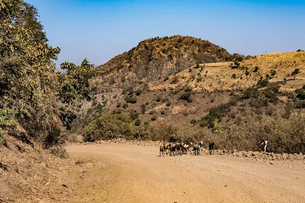 Tájkép a Simien hegység Nemzeti Park Észak-Etiópia — Stock Fotó