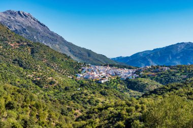 Cortes de la Frontera, Malaga Eyaleti, Endülüs, İspanya, Batı Avrupa.