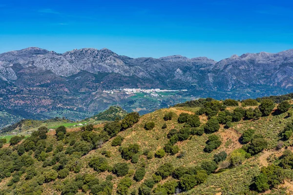 Sierra de Grazalema doğal parkı manzarası, Cadiz eyaleti, Endülüs, İspanya.