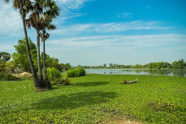 Schöne Landpartie im tropischen ländlichen Distrikt, siem reap, Kambodscha — Stockfoto