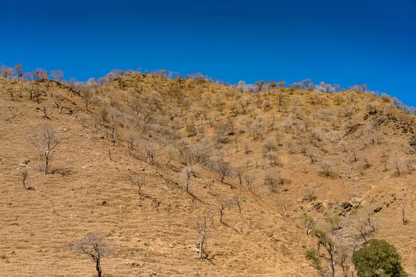 Veduta panoramica del Parco Nazionale delle Montagne Simien nell'Etiopia settentrionale — Foto Stock