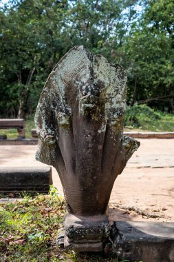 Orman, Kamboçya üzerinden eski Beng Mealea Tapınağı kalıntıları.