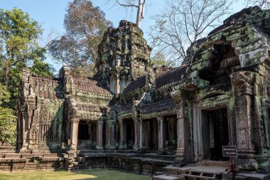 Antik Tapınağı, Ta Prohm, Angkor, Kamboçya