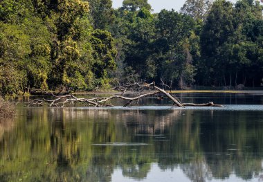 Siem Reap, Kamboçya'da karmaşık Angkor Wat Tapınağı Preah Khan