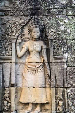 Angkor Wat Tapınağı Siem Reap, Kamboçya karmaşık olduğunu.