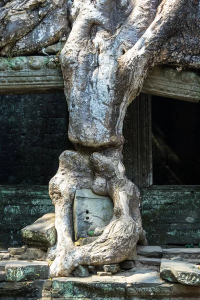 Preah khan tempel in komplexen angkor wat in siem reap, Kambodscha — Stockfoto