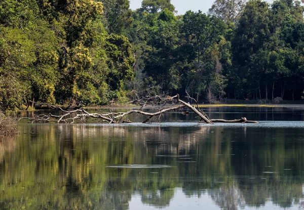 Siem Reap, Kamboçya'da karmaşık Angkor Wat Tapınağı Preah Khan