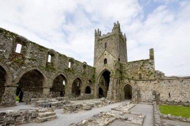 Jerpoint Abbey yakınındaki Thomastown, County Kilkenny, Ireland.